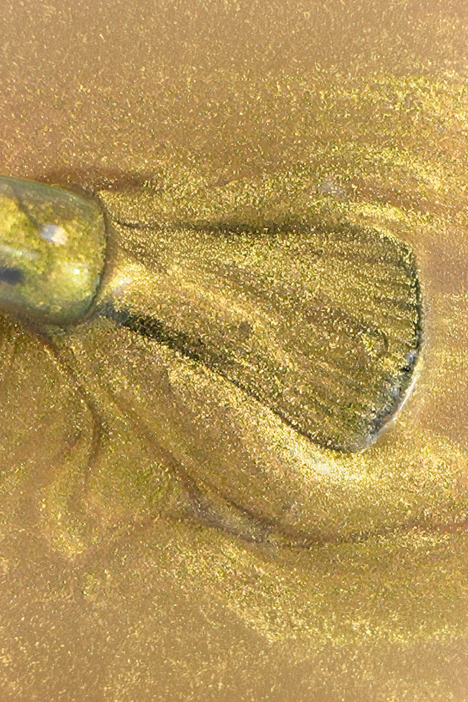 Smalto semipermanente oro Diana Cat Eye 15 ml - Image 2